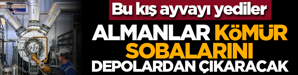 Bu kış ayvayı yediler: Almanlar kömür sobalarını depolardan çıkaracak