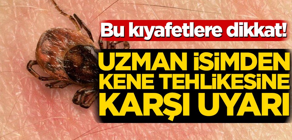 Bu kıyafetleri giyin! Uzman isimden kene tehlikesine karşı uyarı
