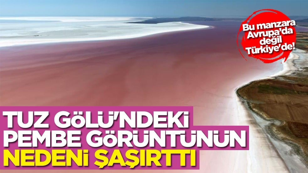 Bu manzara Avrupa'da değil Türkiye'de! Tuz Gölü'ndeki pembe görüntünün nedeni şaşırttı