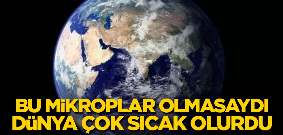 Bu mikroplar olmasaydı dünya çok sıcak olurdu
