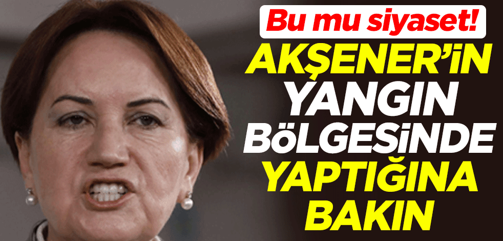 Bu mu siyaset! Akşener'in yangın bölgesinde yaptığına bakın