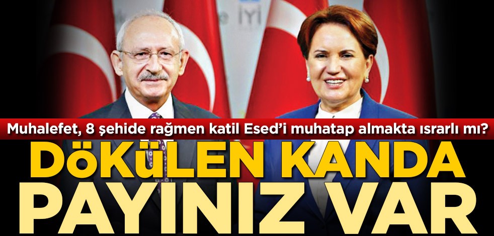 Bu mu sizin dostunuz!