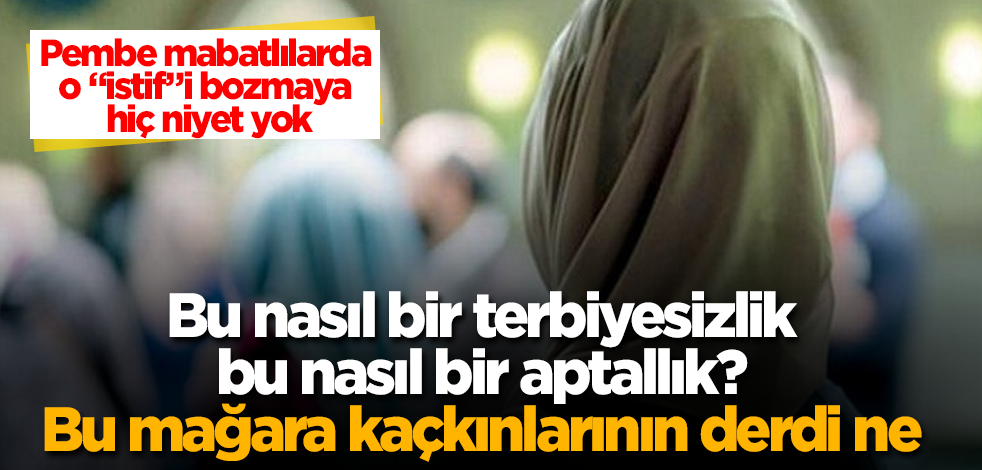 Bu nasıl bir terbiyesizlik, bu nasıl bir aptallık? Bu mağara kaçkınlarının derdi ne? Pembe mabatlılarda o "istif"i bozmaya hiç niyet yok