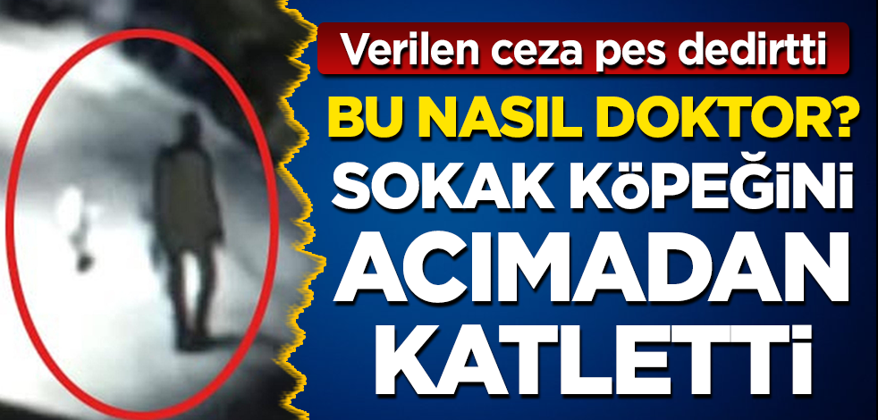Bu nasıl doktor? Sokak köpeğini pompalıyla katletti! Verilen ceza pes dedirtti