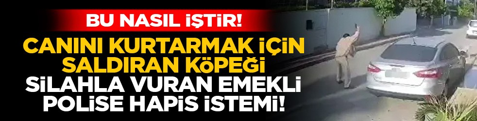 Bu nasıl iştir! Canını kurtarmak için saldıran köpeği silahla vuran emekli polise hapis istemi!