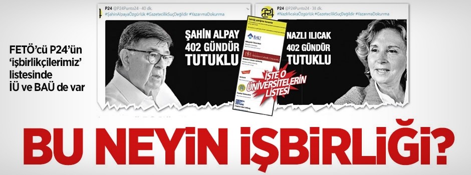 Bu neyin işbirliği?