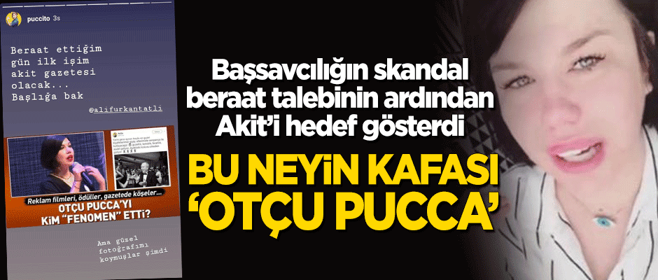 Bu neyin kafası 'Otçu Pucca'! Başsavcılığın skandal beraat talebinin ardından Akit'i hedef gösterdi
