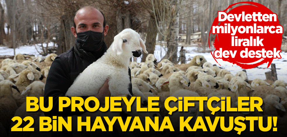 Bu projeyle çiftçiler 22 bin hayvana kavuştu! Devletten dev destek