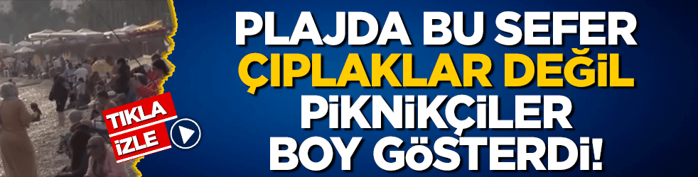 Bu sefer plajda çıplaklar değil, piknikçiler boy gösterdi!