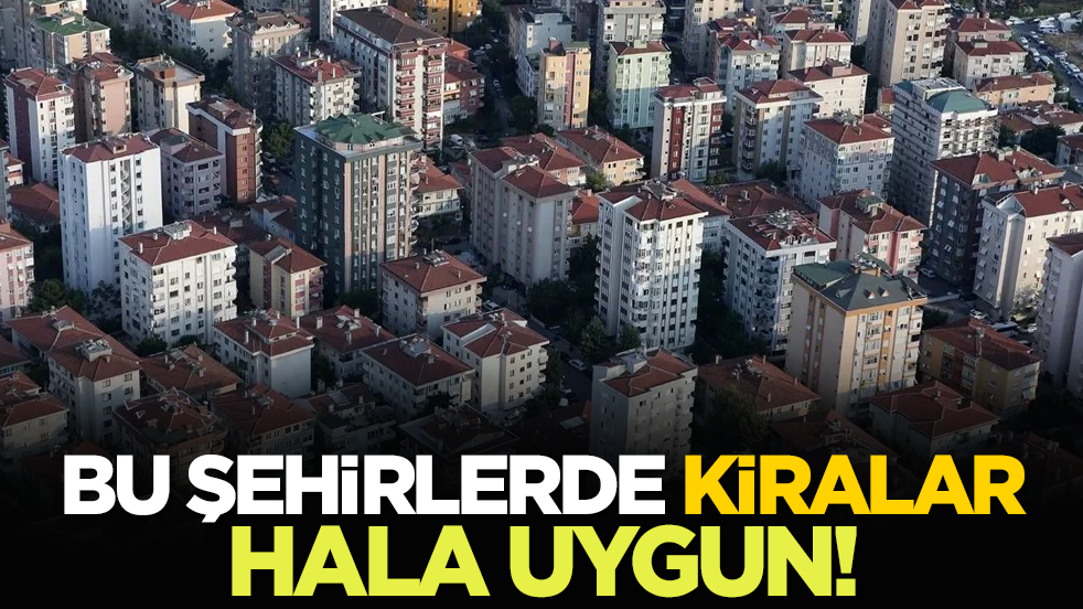 Bu şehirlerde kiralar hala uygun!