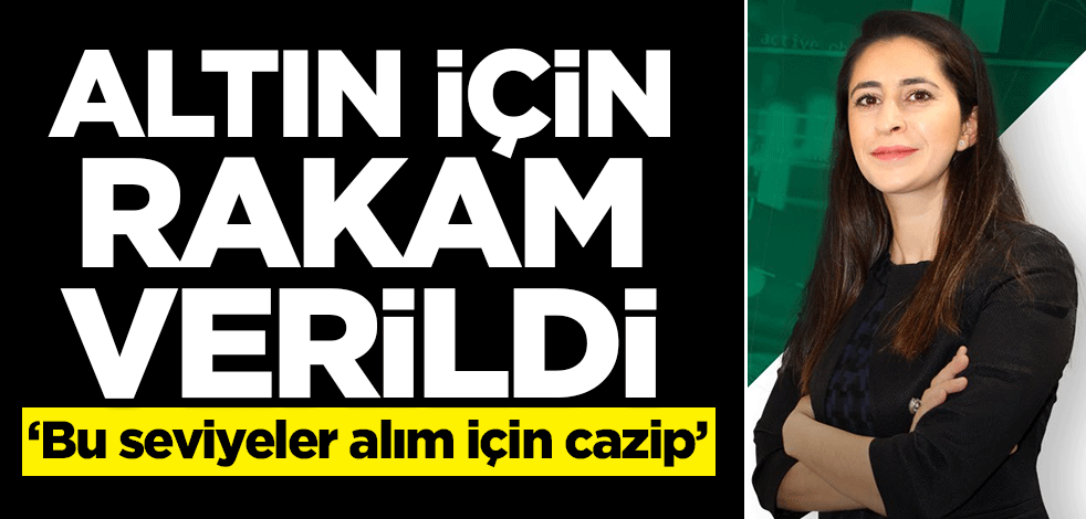 ‘Bu seviyeler alım için cazip’ Altın için rakam verildi