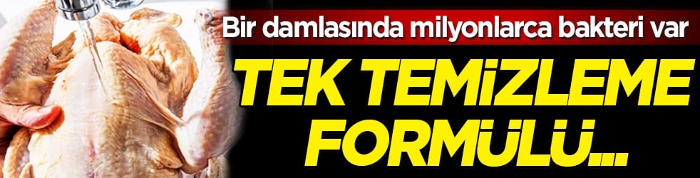 Bu sorunun cevabı belli oldu: Bir damlasında milyonlarca bakteri var: Tek temizleme formülü...