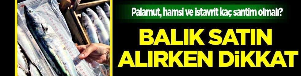  Bu sorunun yanıtı geldi: Balık satın alırken boyları kaç santim olmalı? Yetkililer uyardı! Bunu yapmayan pişman oluyor