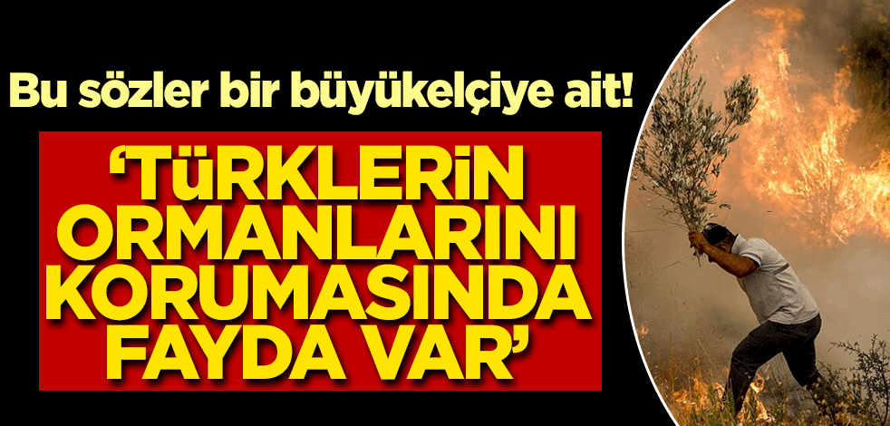 Bu sözler bir büyükelçiye ait! 'Türklerin ormanlarına sahip çıkmasında büyük fayda var'
