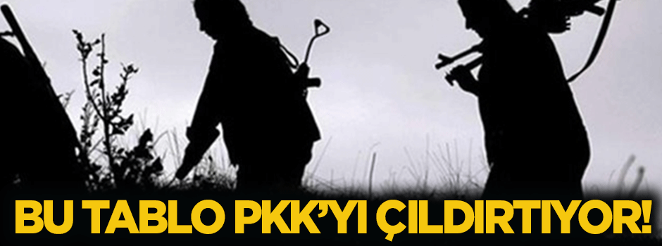 Bu tablo PKK'yı çıldırtıyor!