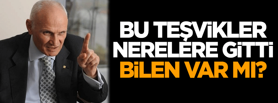 Bu teşvikler nerelere gitti, bilen var mı?