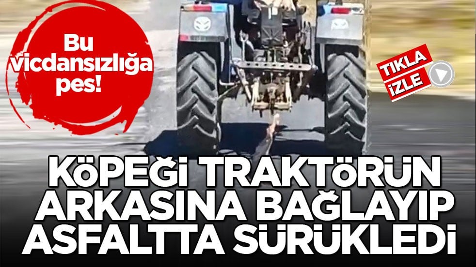 Bu vicdansızlığa pes! Köpeği traktörün arkasına bağlayıp asfaltta sürükledi