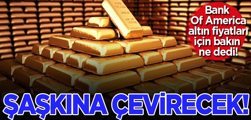 Bu yatırım sizi 100 yıl yaşatacak diyen ABD'li uzman büyük sırrını açıkladı! Zafer kazanan bir lider olmak kolaymış