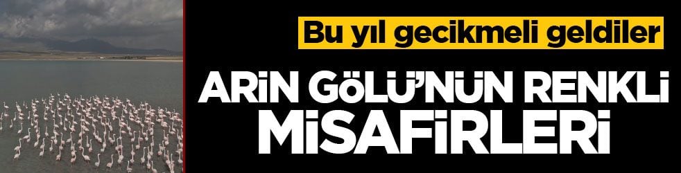 Bu yıl gecikmeli geldiler! Arin Gölü’nün renkli misafirleri ortaya çıktı