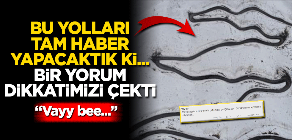 Bu yolları tam haber yapacaktık ki bir yorum dikkatimizi çekti Vaay bee…