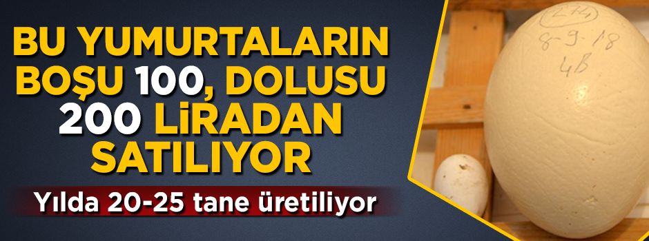 Bu yumurtaların boşu 100, dolusu 200 liradan satılıyor!