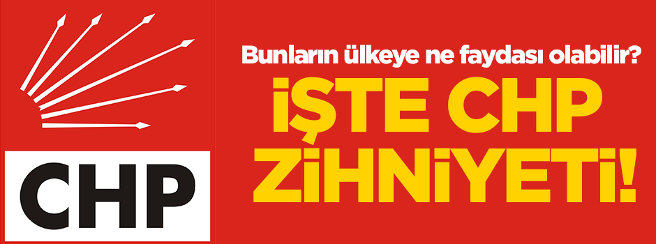 Bu zihniyetin ülkeye ne faydası olabilir?