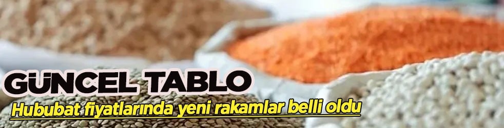 Buğday, arpa, mısır, yulaf, çavdar fiyatları: Yeni tablo belli oldu! TMO Eylül 2026 güncel hububat fiyatları... 