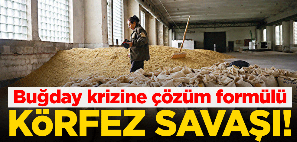Buğday krizine çözüm formülü: Körfez Savaşı!