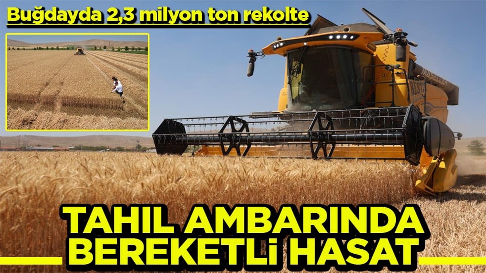 Buğdayda 2,3 milyon ton rekolte Türkiye'nin tahıl ambarında bereketli hasat