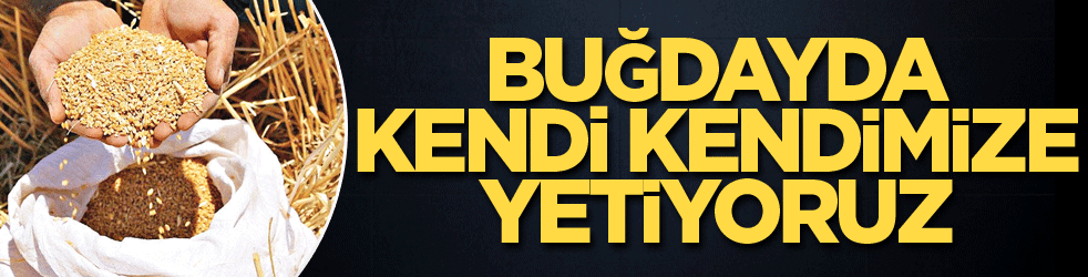 Buğdayda kendi kendimize yetiyoruz