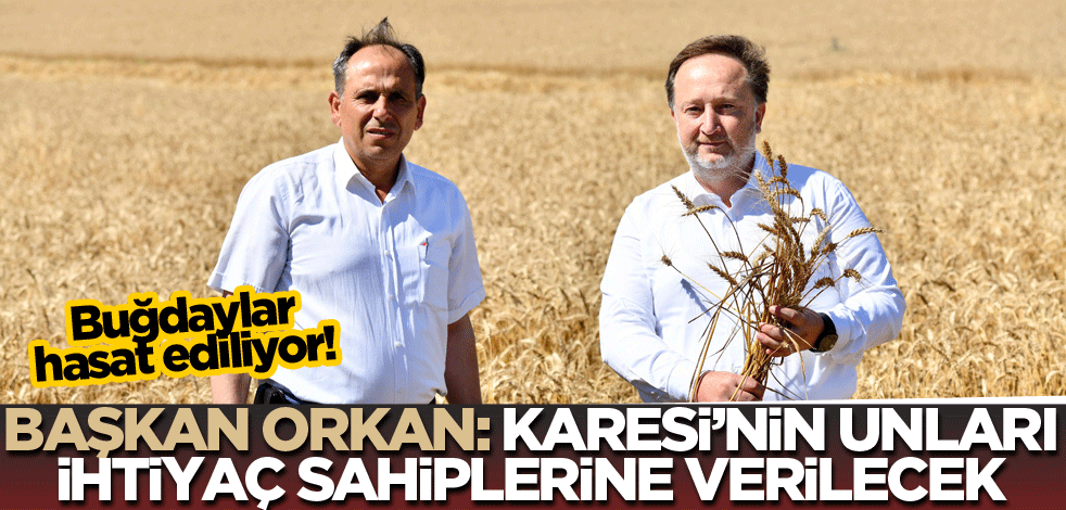 Buğdaylar hasata ediliyor! Başkan Orkan: Karesi'nin unları ihtiyaç sahiplerine verilecek