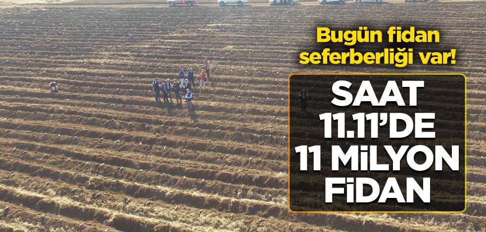 Bugün Fidan seferberliği var! Saat 11.11’de 11 milyon fidan