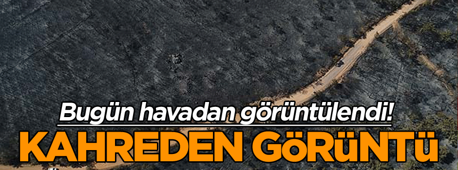 Bugün havadan görüntülendi! Kahreden görüntü
