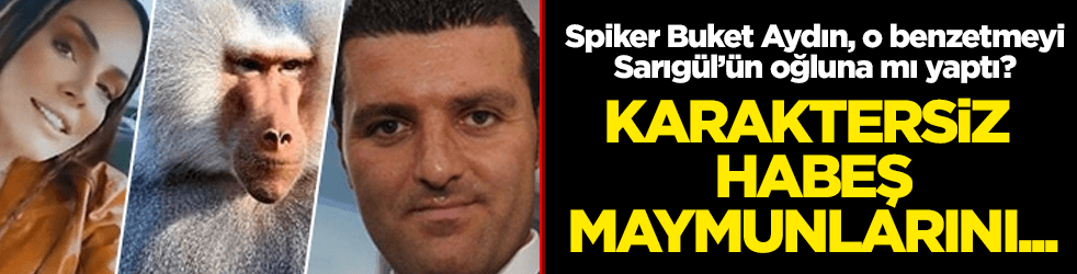 Buket Aydın "Habeş maymunu" benzetmesini Sarıgül'e mi yaptı?