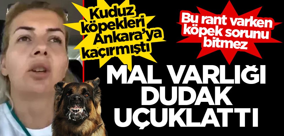 Buket Özgünlü Boyacı emlak zengini çıktı