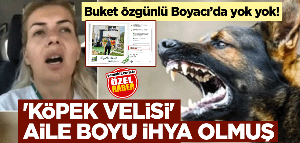 Buket Özgünlü Boyacı’da yok yok! 'Köpek Velisi' aile boyu ihya olmuş