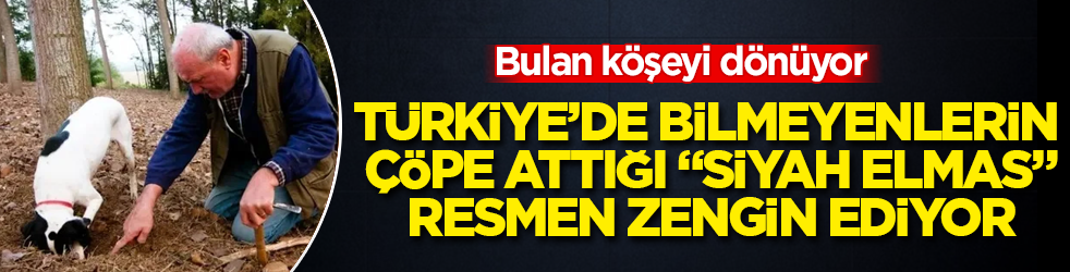 Bulan köşeyi dönüyor! Türkiye’de bilmeyenlerin çöpe attığı "siyah elmas", resmen zengin ediyor