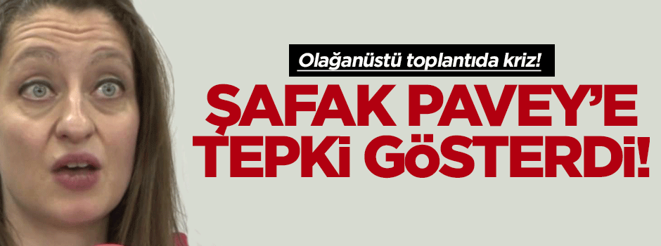 Bülent Arınç, Şafak Pavey'e tepki gösterdi!