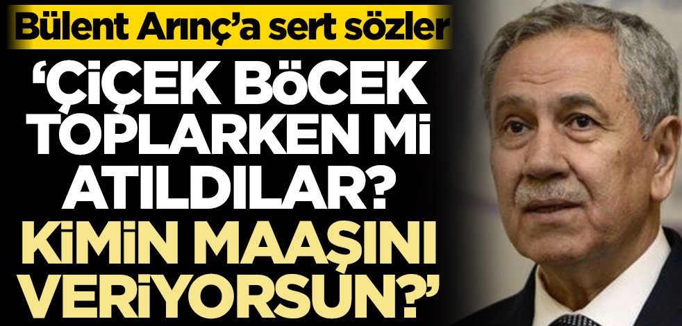 Bülent Arınç’a sert sözler! ‘Çiçek böcek toplarken mi atıldılar? Kimin maaşını veriyorsun?’