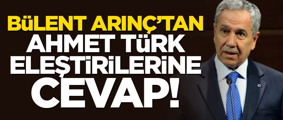 Bülent Arınç'tan Ahmet Türk eleştirilerine cevap