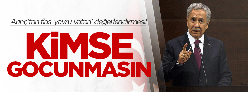 Bülent Arınç'tan 'yavru vatan' değerlendirmesi