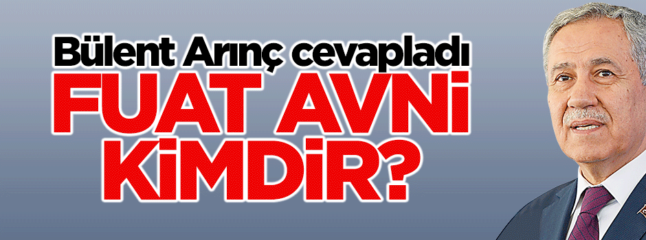 Bülent Arınç'tan 'Fuat Avni' açıklaması