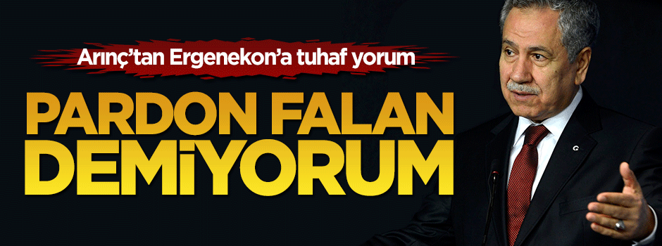 Bülent Arınç'tan tuhaf Ergenekon yorumu: Pardon falan demiyorum