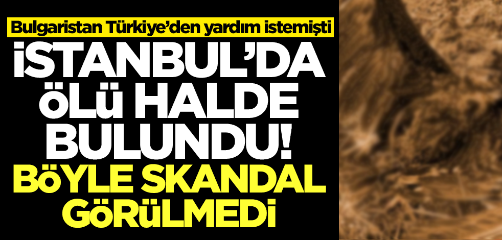 Bulgaristan Türkiye'den acil olarak yardım istemişti! Skandal ortaya çıktı, İstanbul'da ölü bulundu