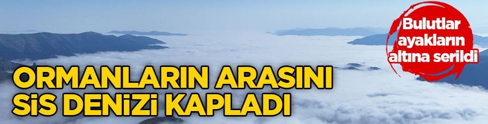 Bulutlar ayakların altına serildi! Ormanların arasını sis denizi kapladı