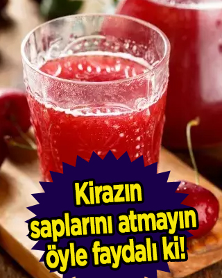 Bundan sonra kimse kirazın saplarını atamayacak: Yiyince asıl fayda edecek! Duyan inanamıyor, dikkat çeken detay