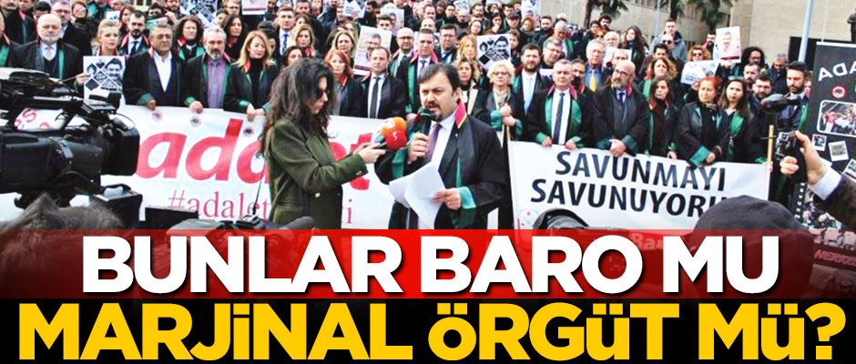 Bunlar baro mu, marjinal örgüt mü?