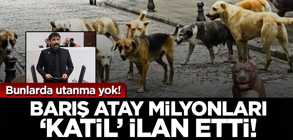 Bunlar da utanma yok! Barış Atay milyonları 'katil' ilan etti