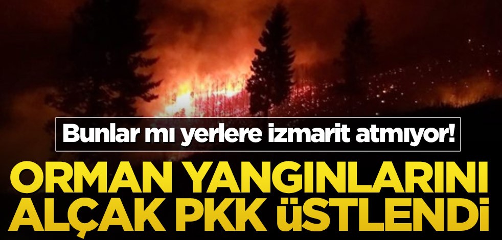 Bunlar mı yerlere izmarit atmıyor! Orman yangınlarını alçak PKK üstlendi