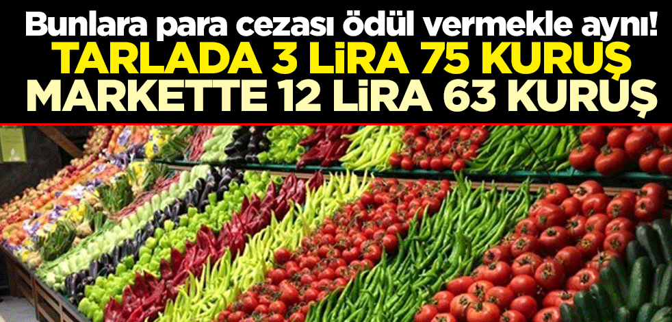 Bunlara para cezası ödül vermekle aynı! Tarlada 3 lira 75 kuruş, markette 12 lira 63 kuruş